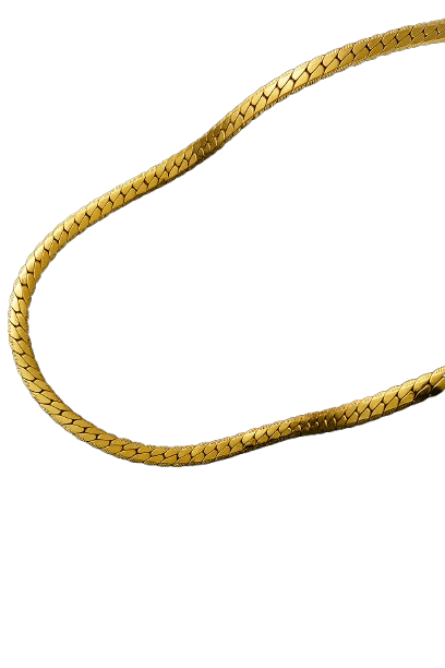 Golden Serpent Chain